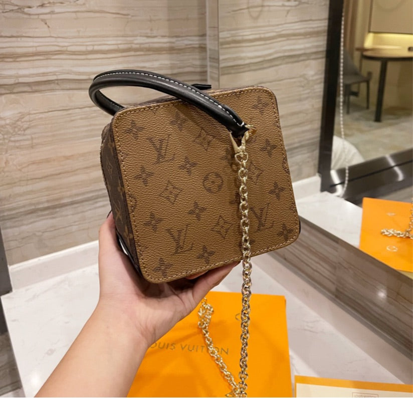 Leather LV a woman handbag